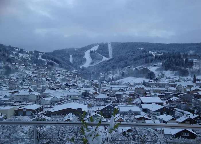 Les Epinettes Prairie Apartmán *